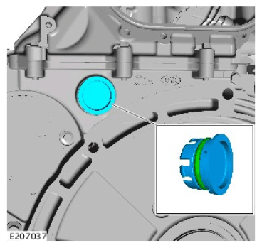 G11335509
