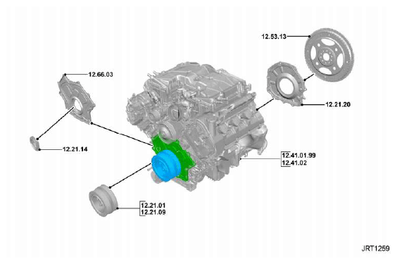 G11344061