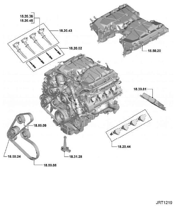 G11344228