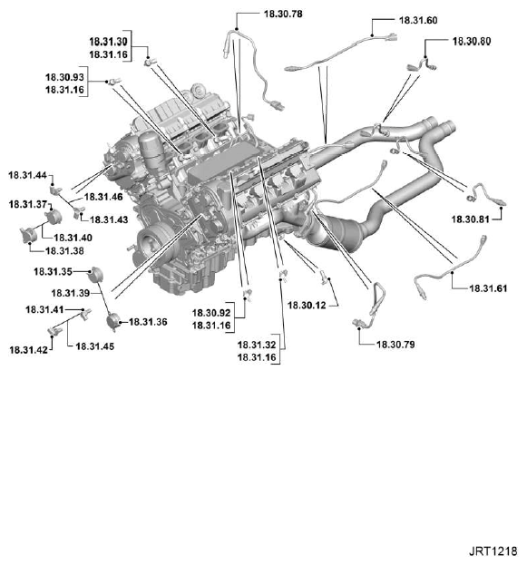 G11344294