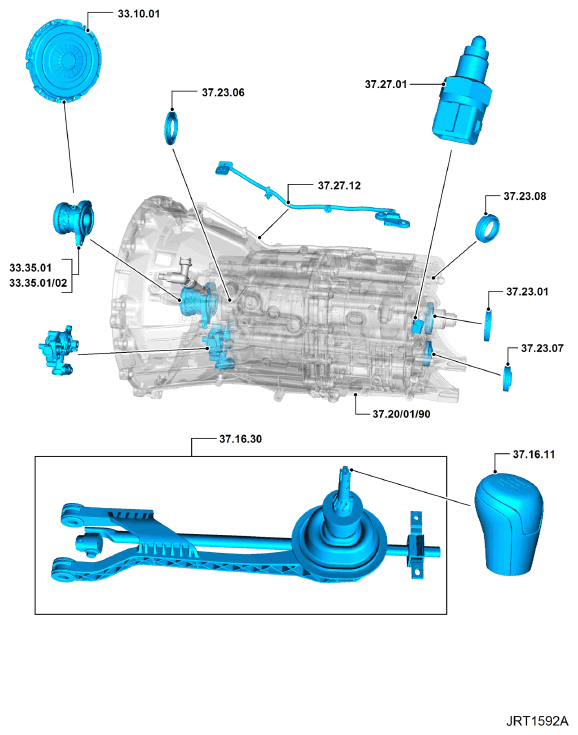 G11344346