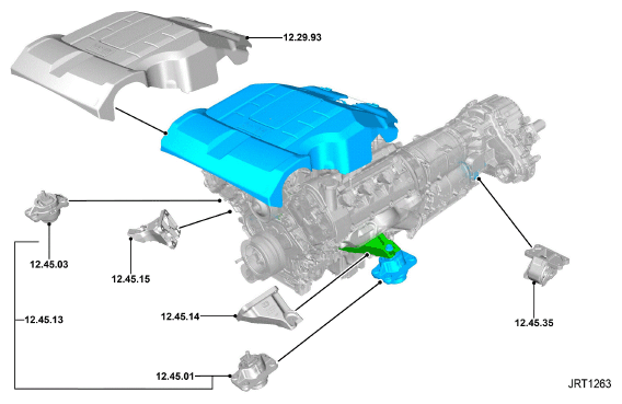 G11344352