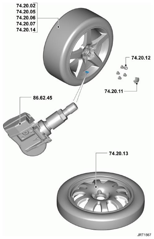 G11345604