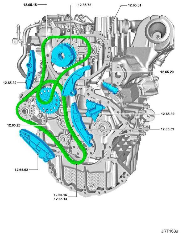 G11345794
