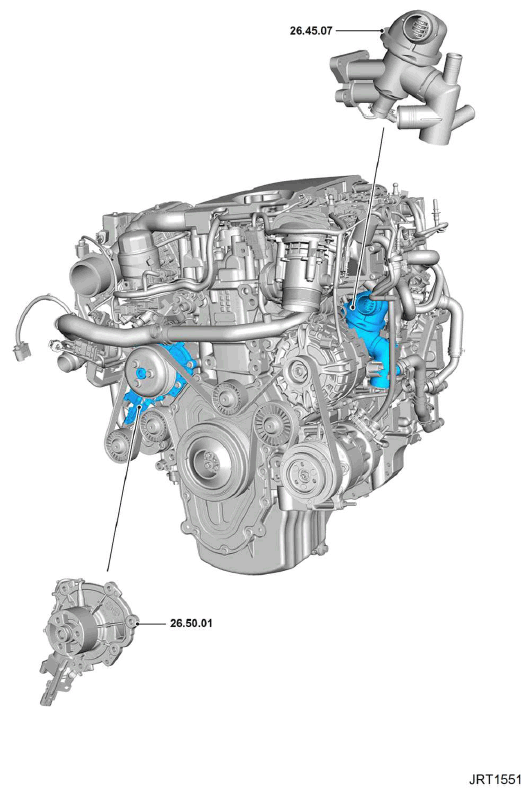G11345994