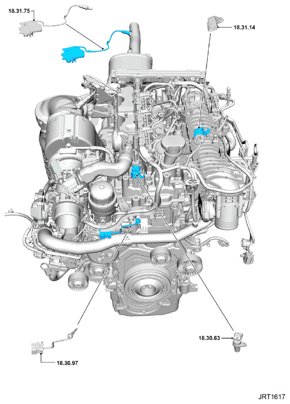 G11346178
