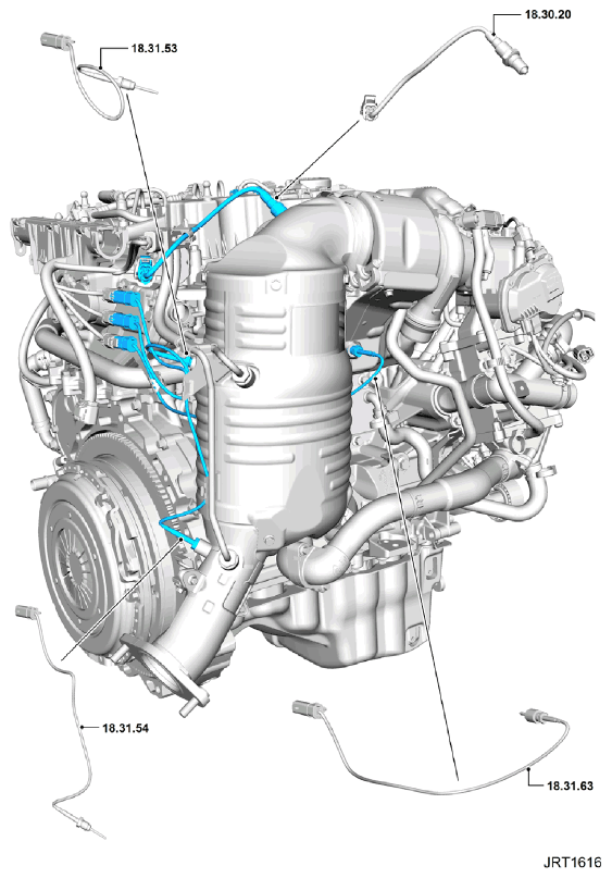 G11346183