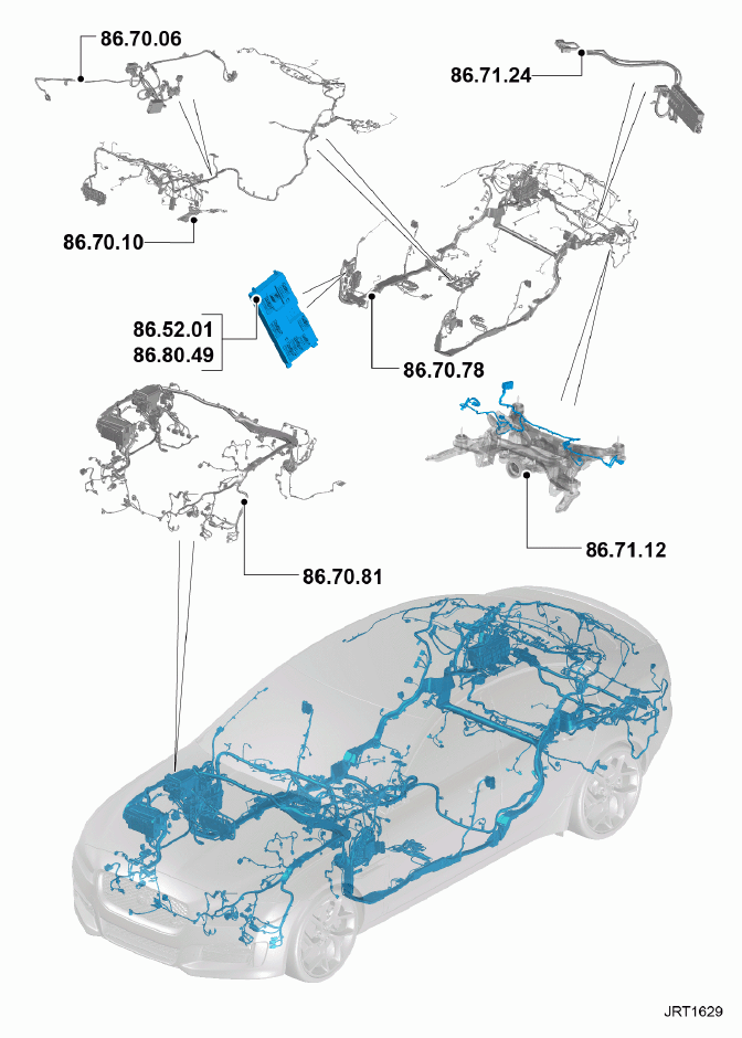 G11346679