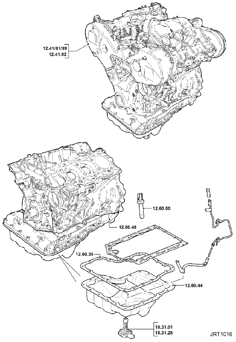 G11351881