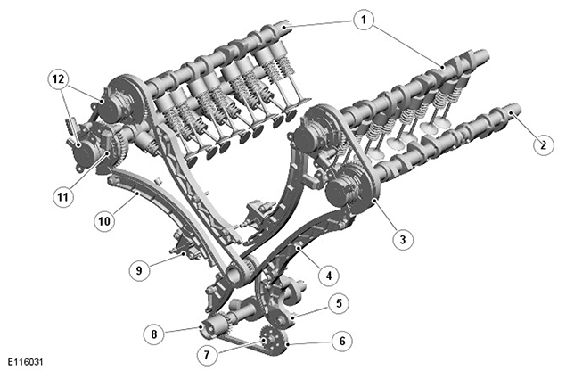 G11414534
