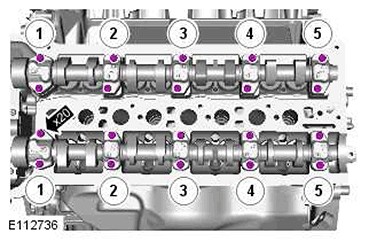 G11414620