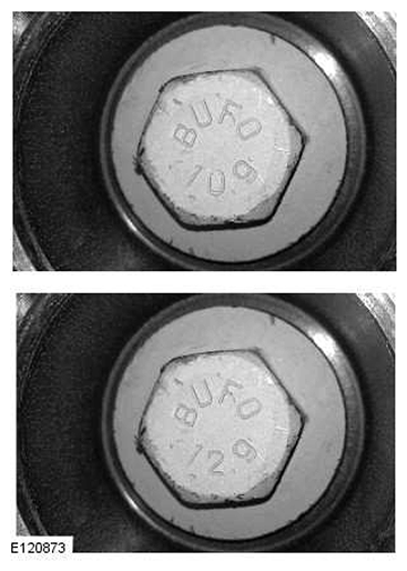 G11414648
