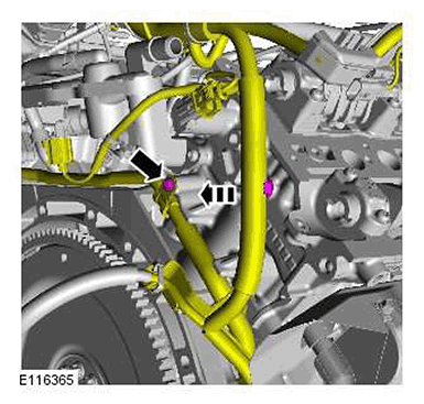 G11414786