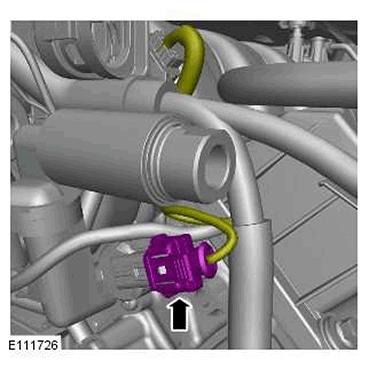 G11414794