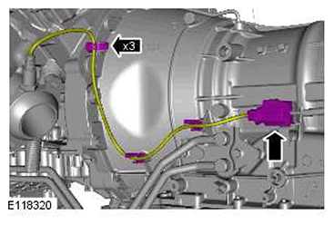 G11414862