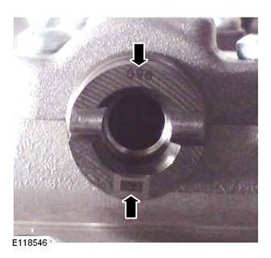 G11415059
