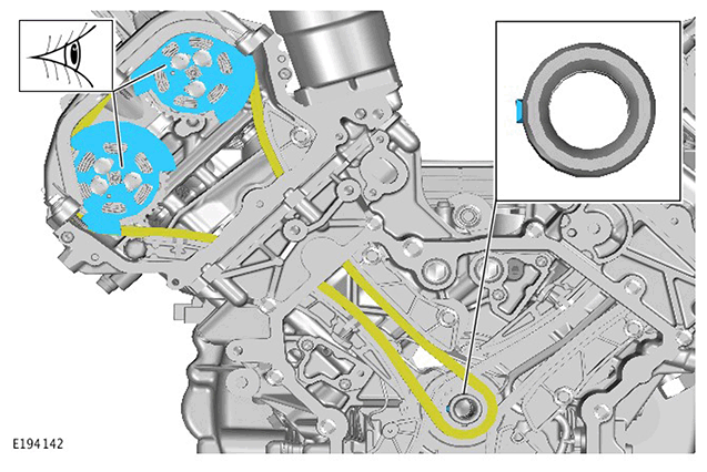G11415238