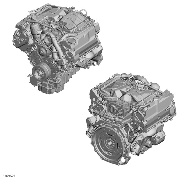 G11415354