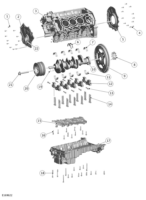 G11415355