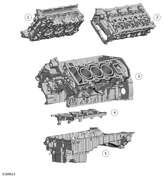 G11415356