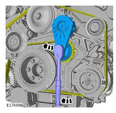 G11415536