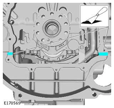 G11415552