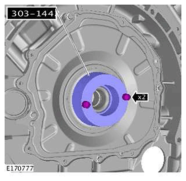 G11415558