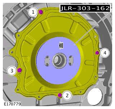 G11415560