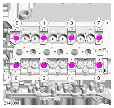 G11415586