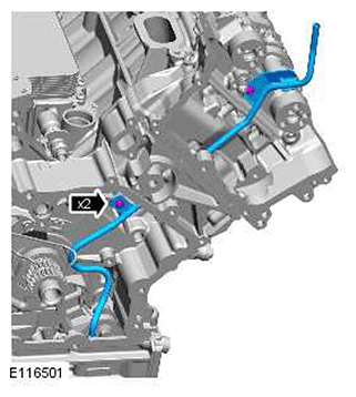 G11415598