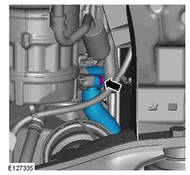 G11415650