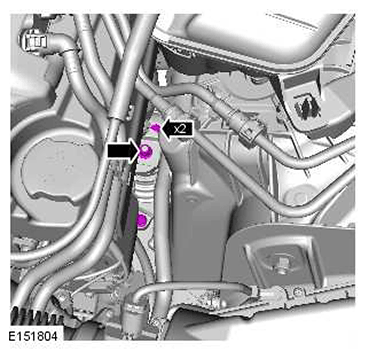 G11415664