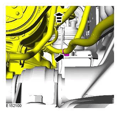 G11415665