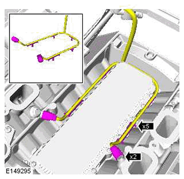 G11415759