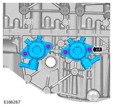 G11415821
