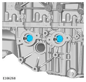 G11415822