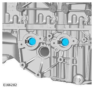 G11415849
