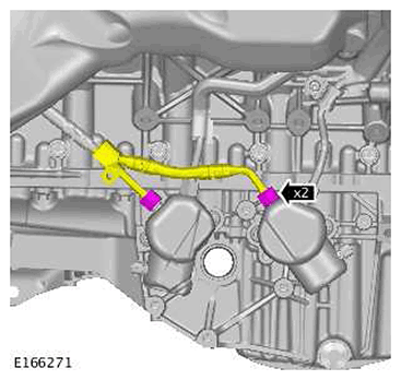 G11415856