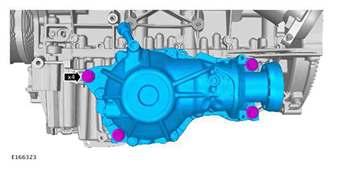 G11415881