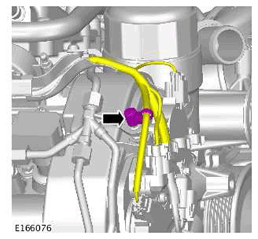 G11415900