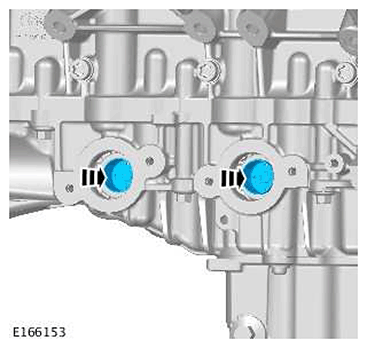 G11415942