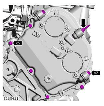 G11415984