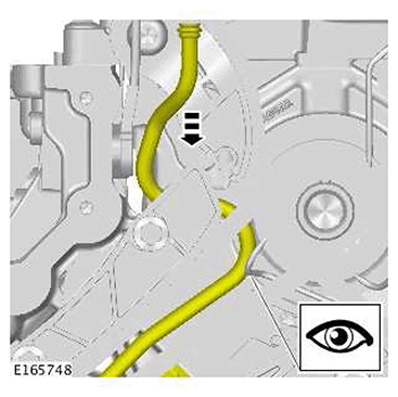 G11415992