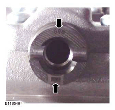G11416080