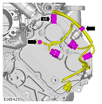 G11416246
