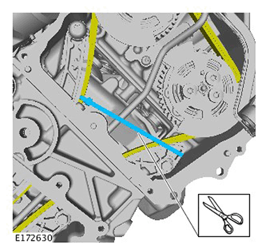 G11416268