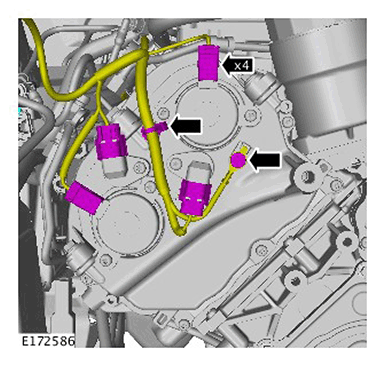 G11416305