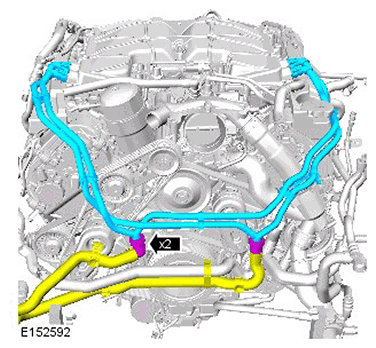 G11416460