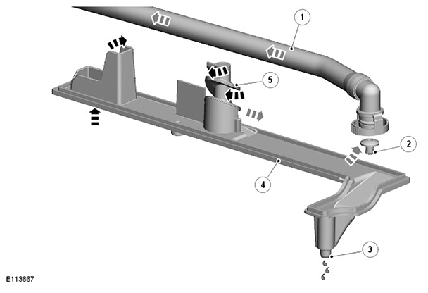 G11416527