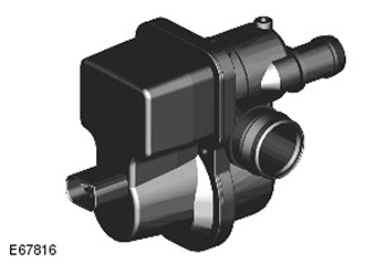 G11416818